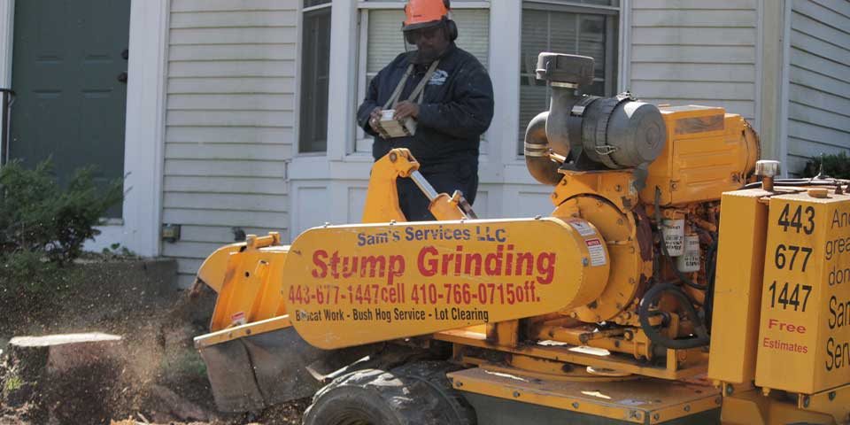 Sam Crowder operating a stump grinder in Elkridge, MD