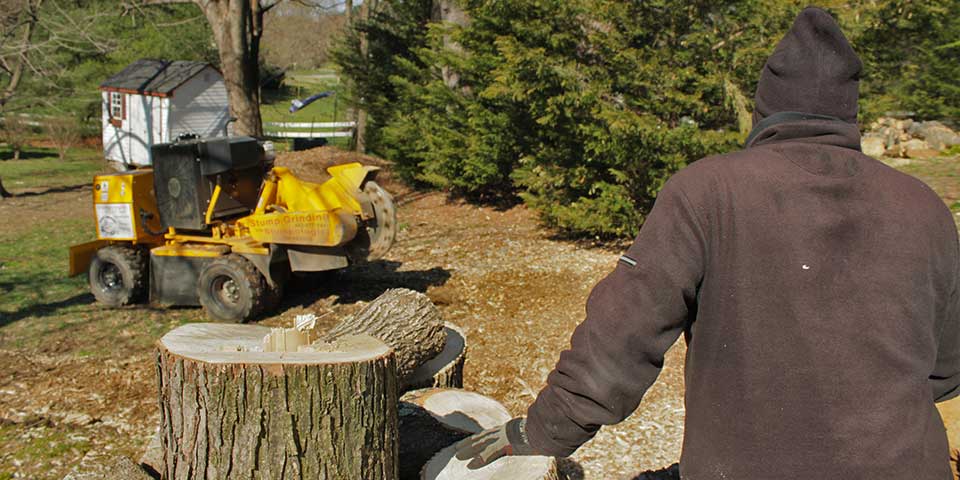 A Sam's Services stump grinding service crew member