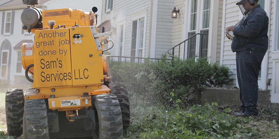 Sam's Services controlling a stump grinder in Elkridge, MD