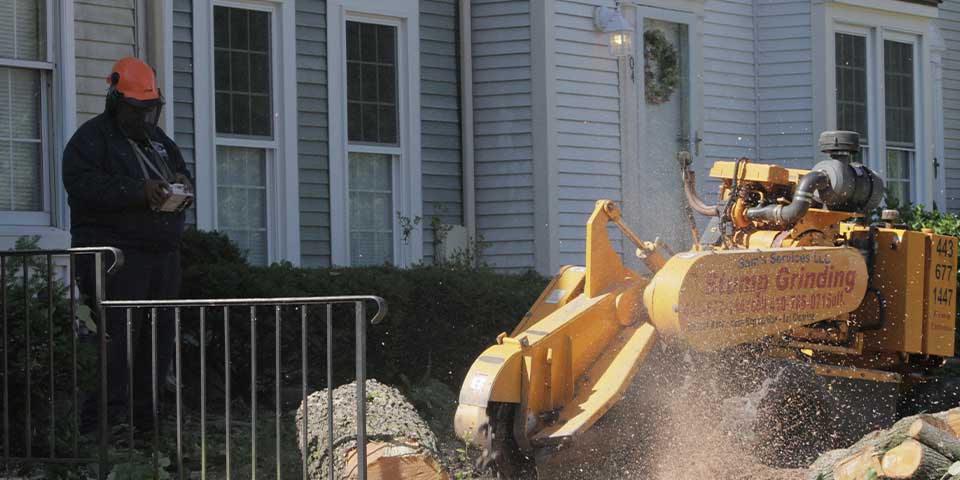 Sam Crowder grinding a stump remotely