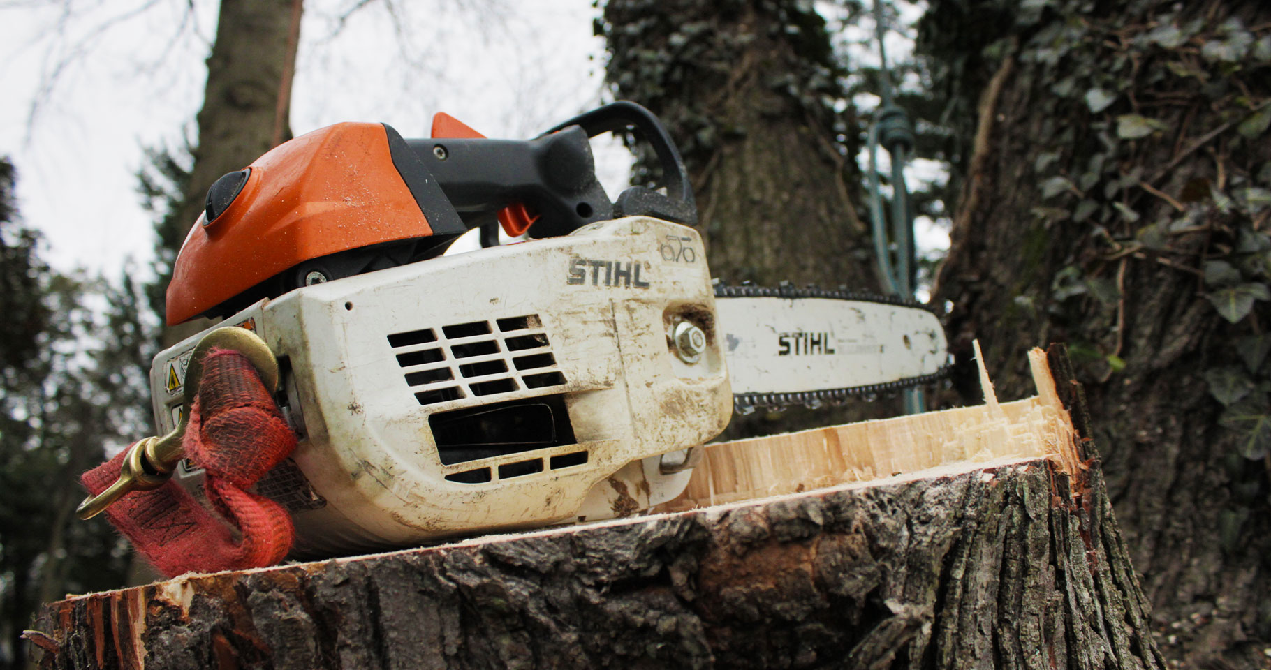 A chainsaw sitting on a tree stump