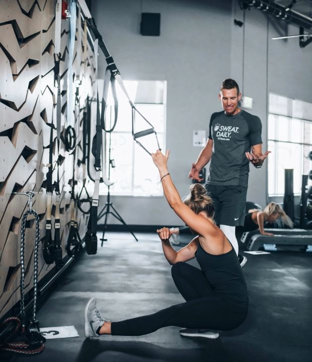 Training Image