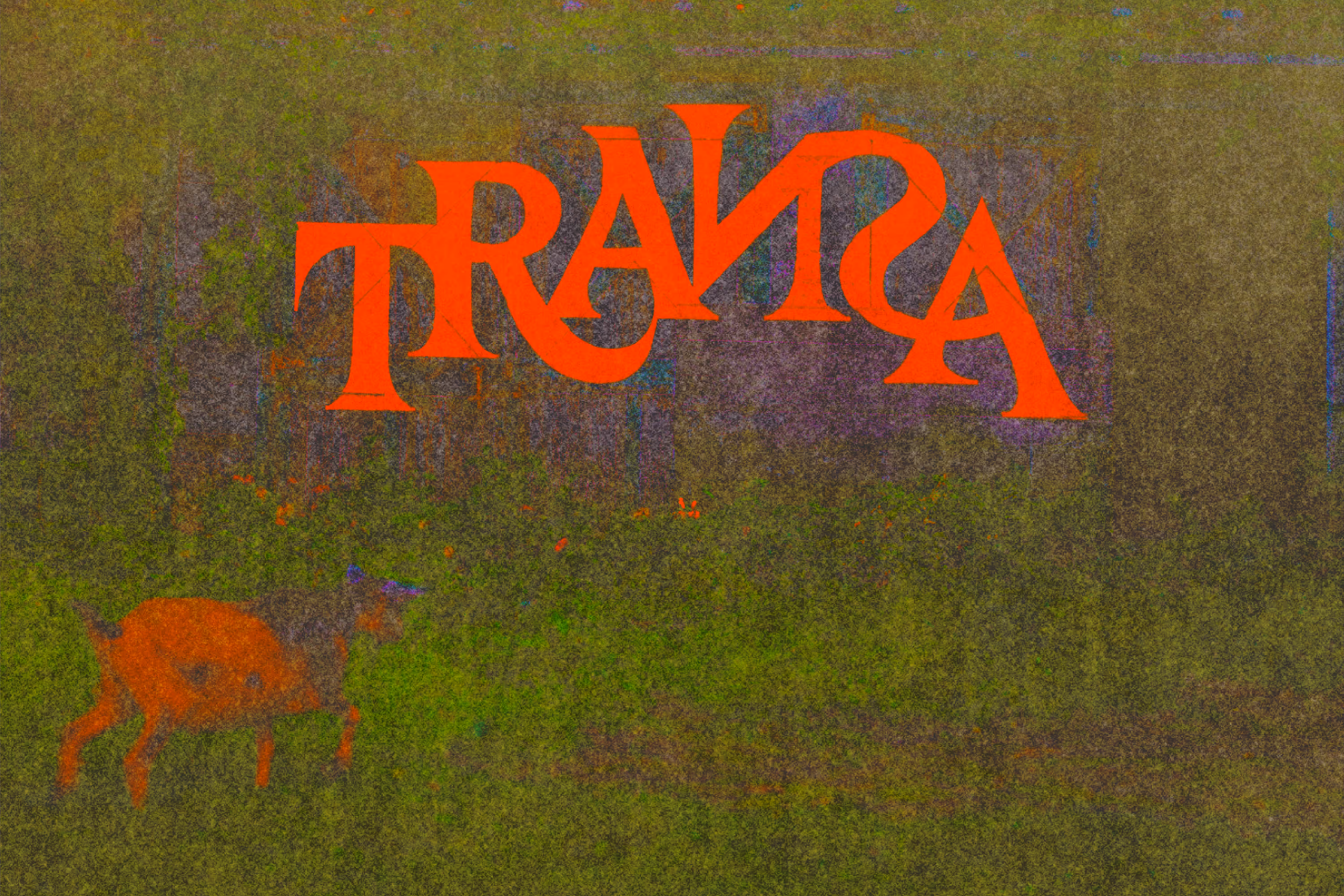 TRAИƧA