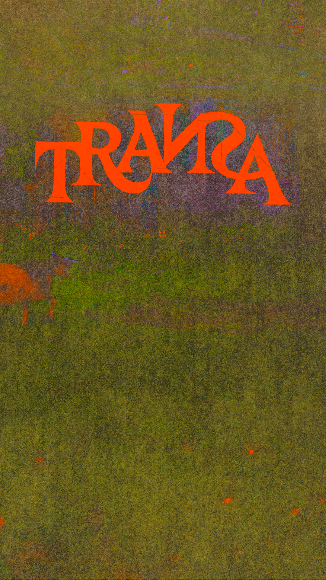 TRAИƧA