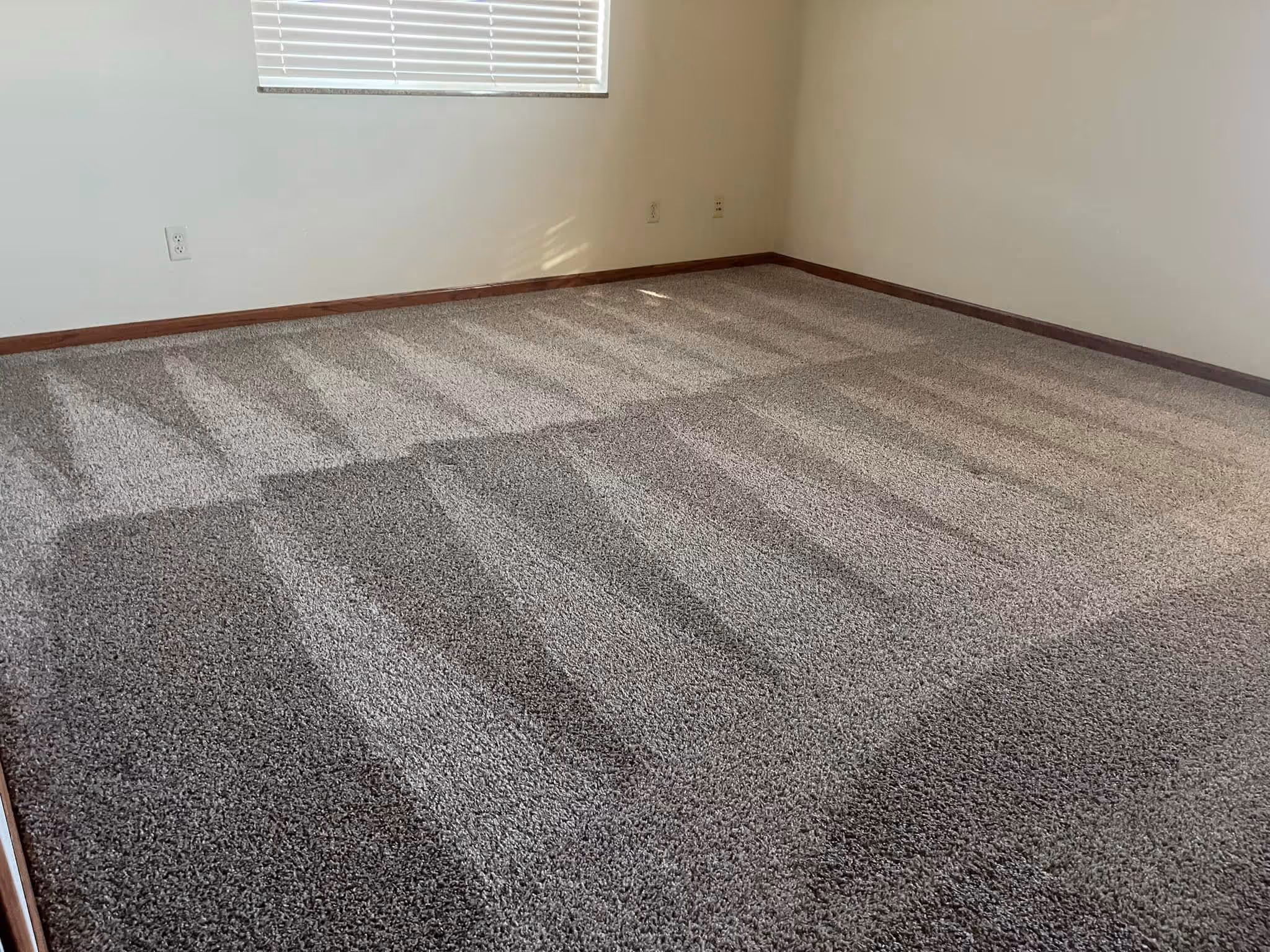 A cleaned carpet in a room