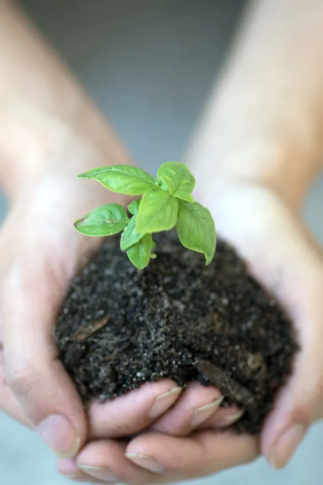 Lead generation and nurturing with inbound qualification, outsources SDR services, ABM and outbound.