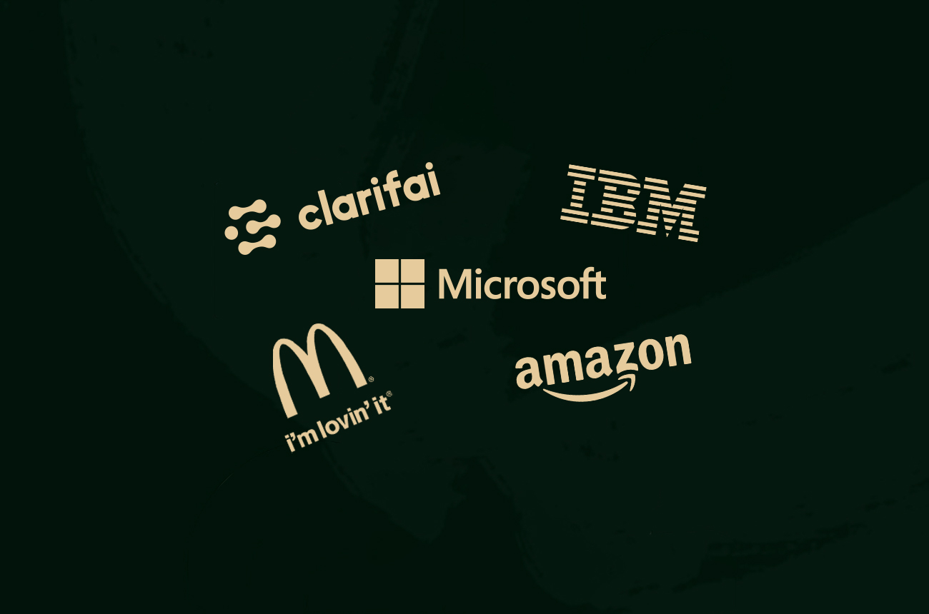 The AI projects that crashed & burned.