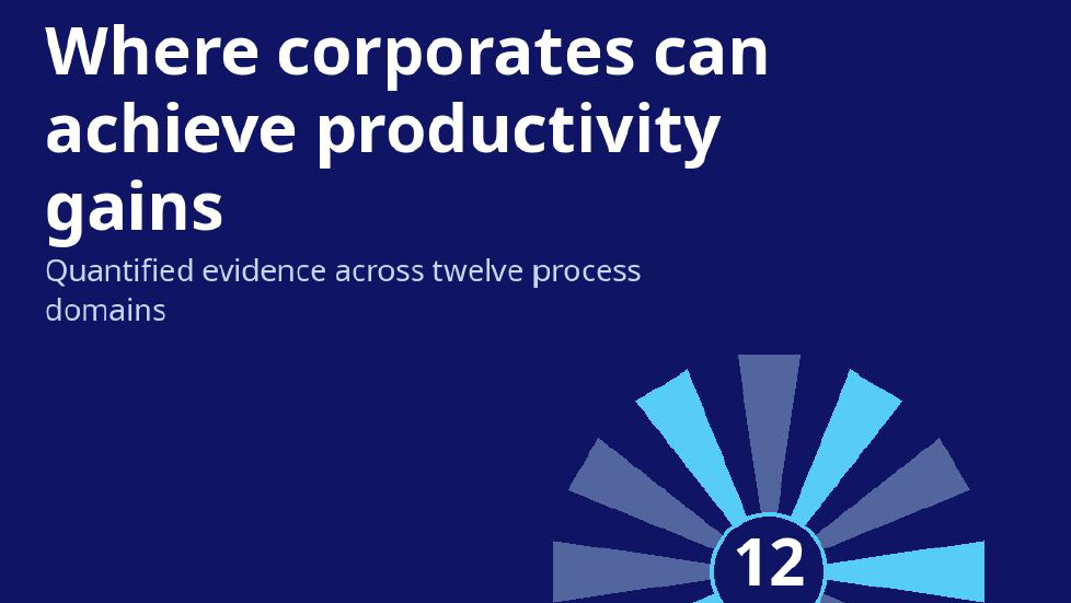 Where Corporates Can Achieve Productivity Gains