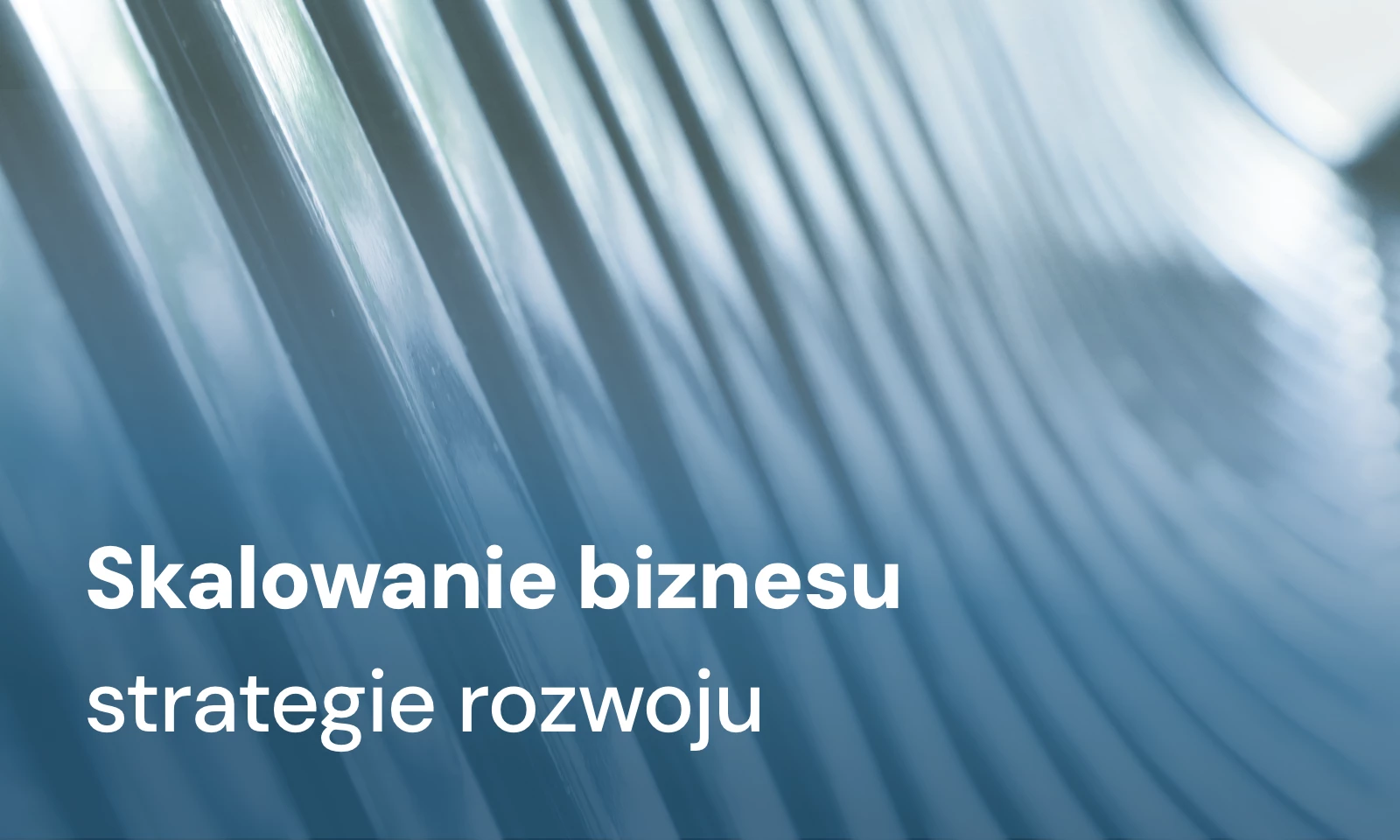 Skalowanie biznesu - na czym polega i jak je dobrze przeprowadzić?