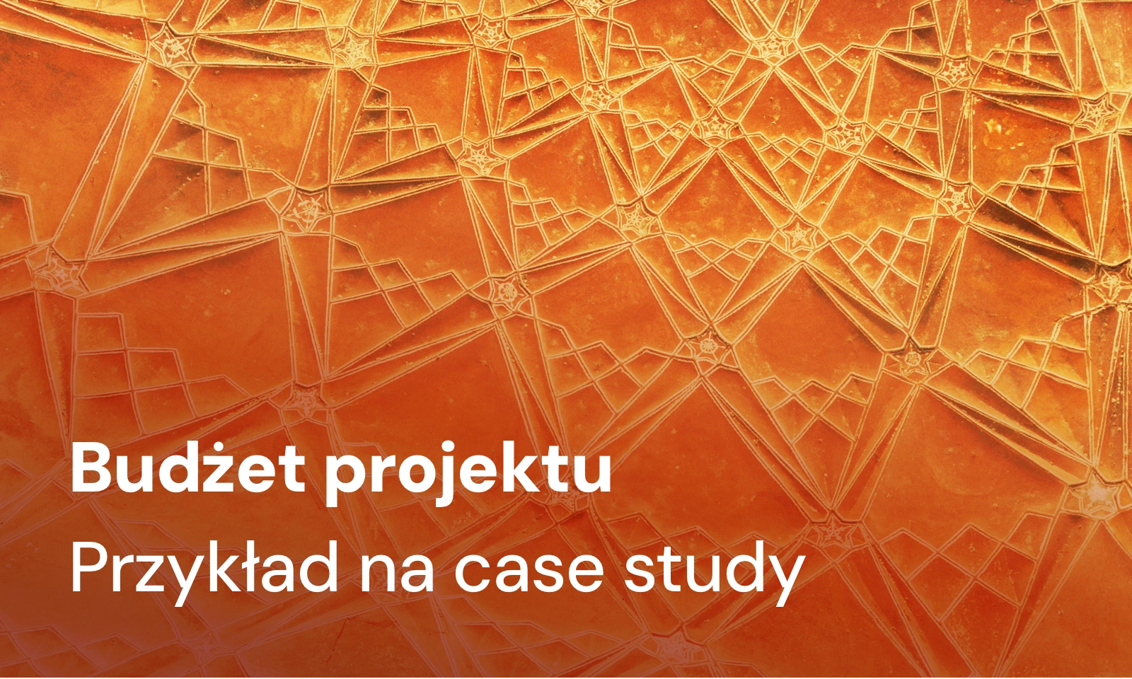Budżet projektu - przykład na prostym case study