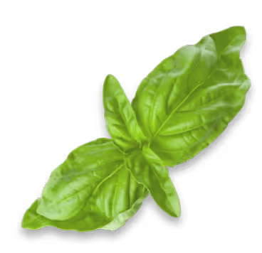 Sakh