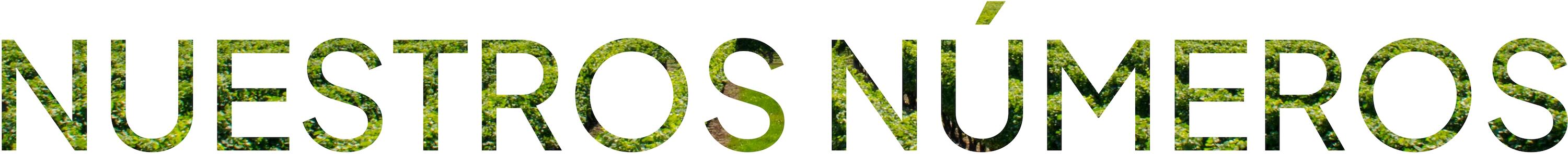 Statistics Banner