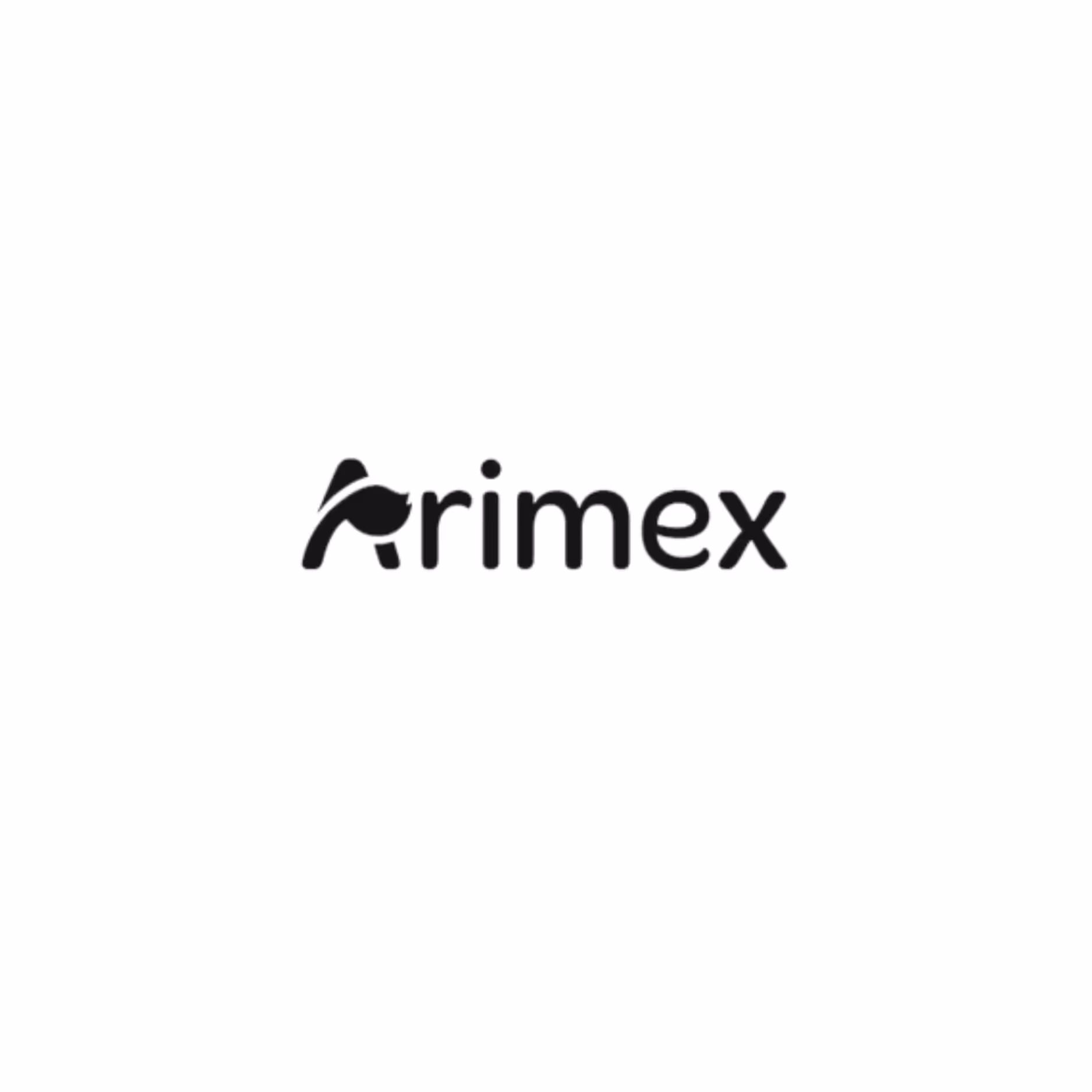 ARMEX LOGO