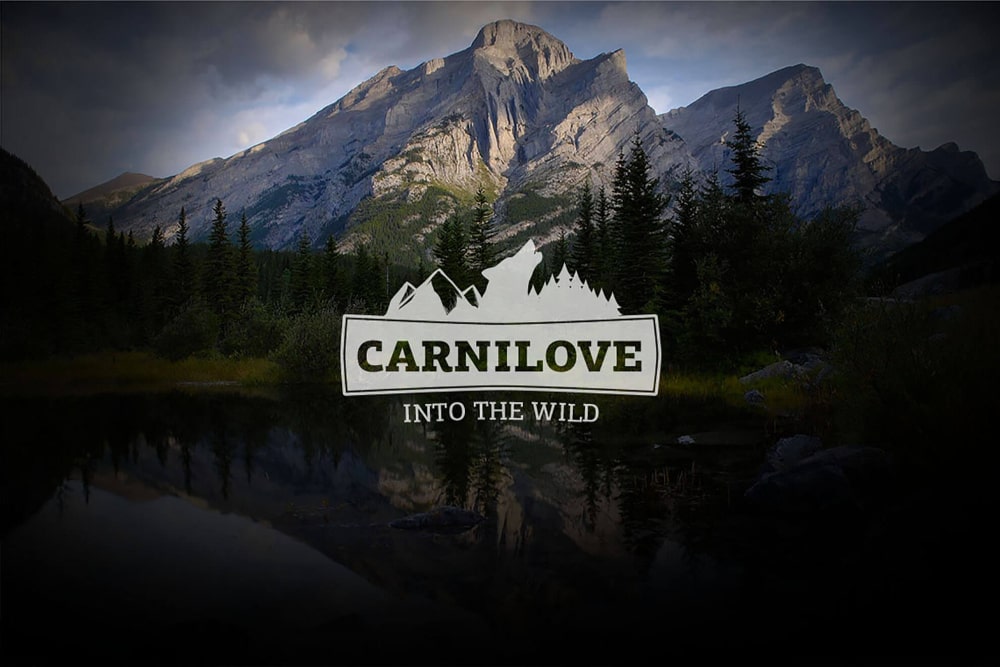 CARNILOVE – PETFOOD PACKAGING DESIGN