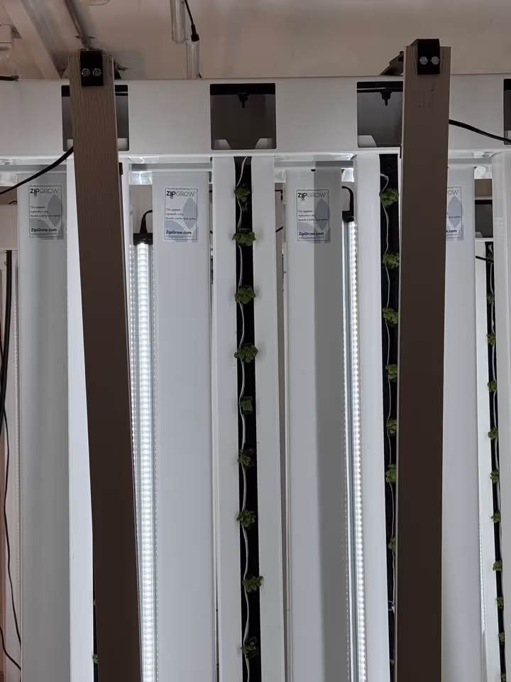 106725874946653_922213410085176