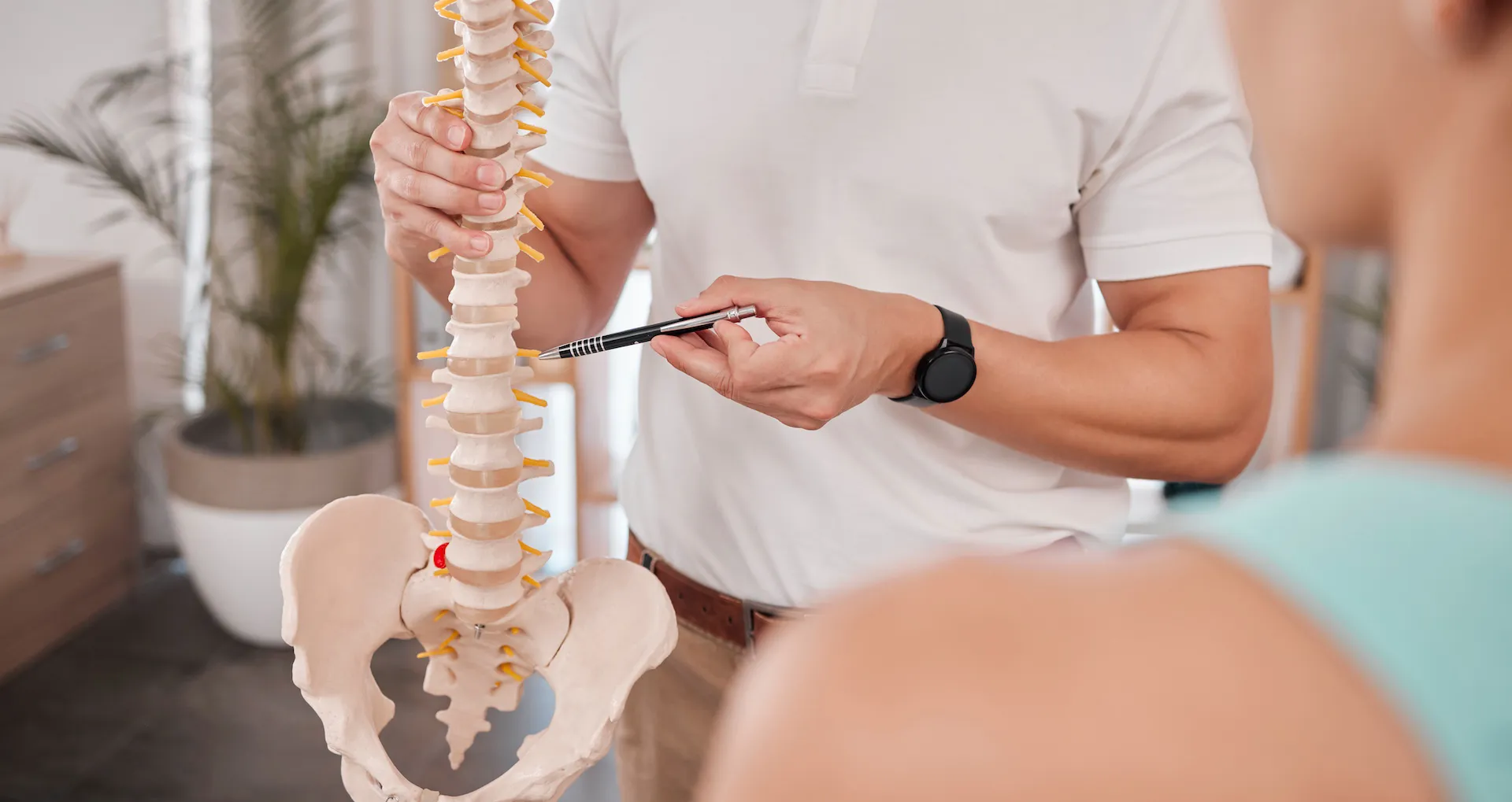 Doctor pointing to spine model while explaining treatment to patient in medical consultation