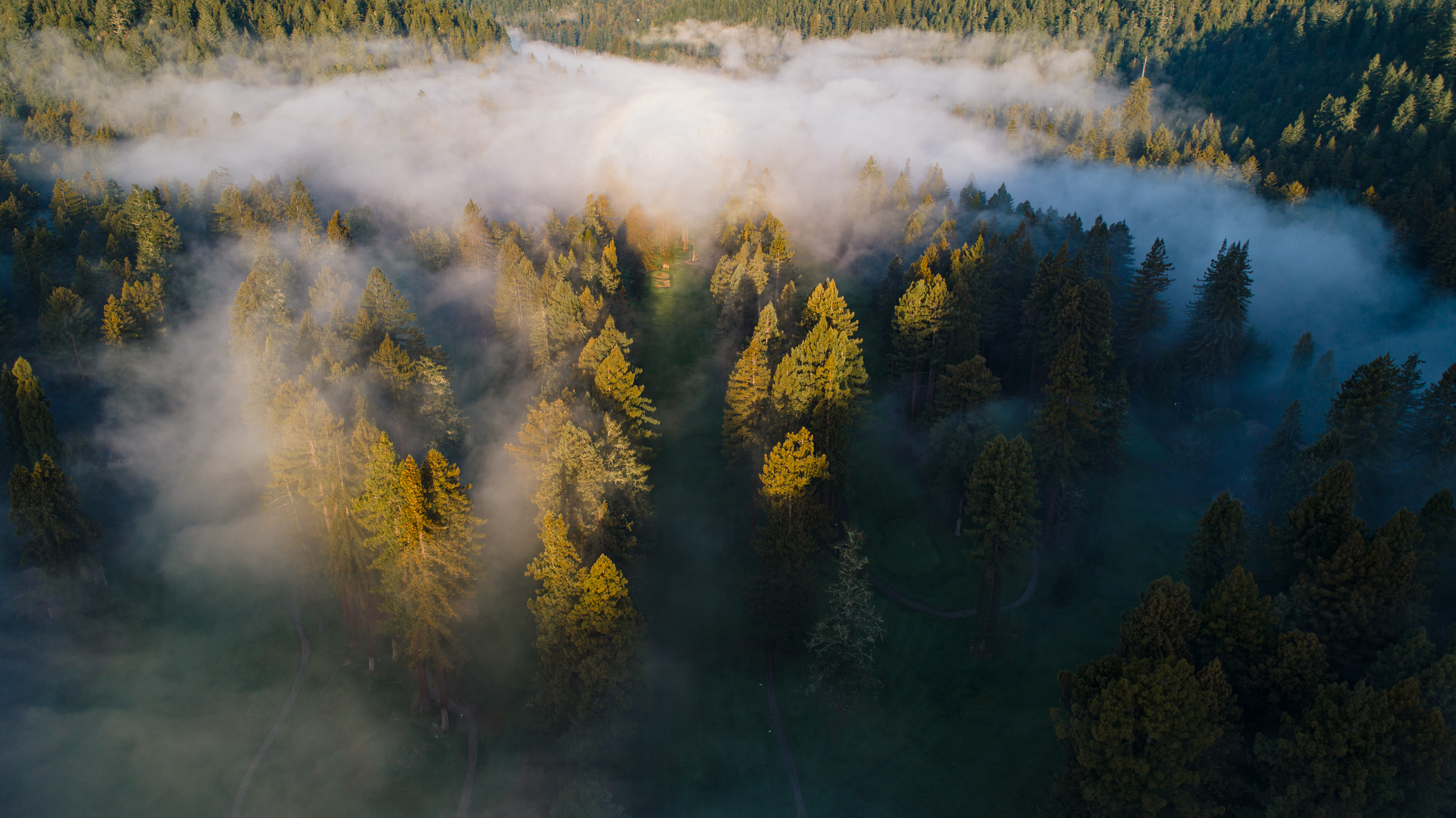 Fried Egg Golf Brand Creative: Job Description