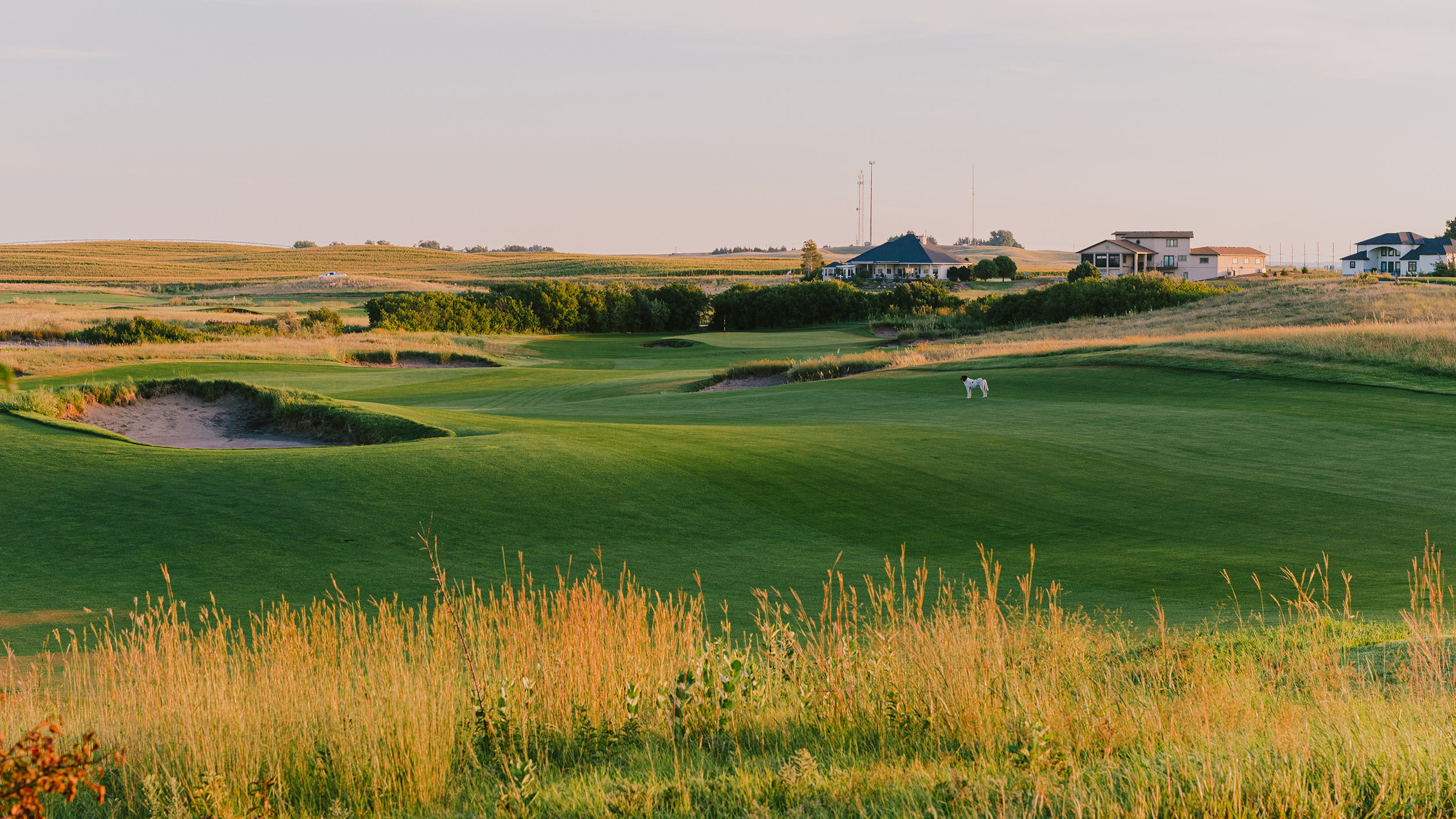 Wild Horse Golf Club