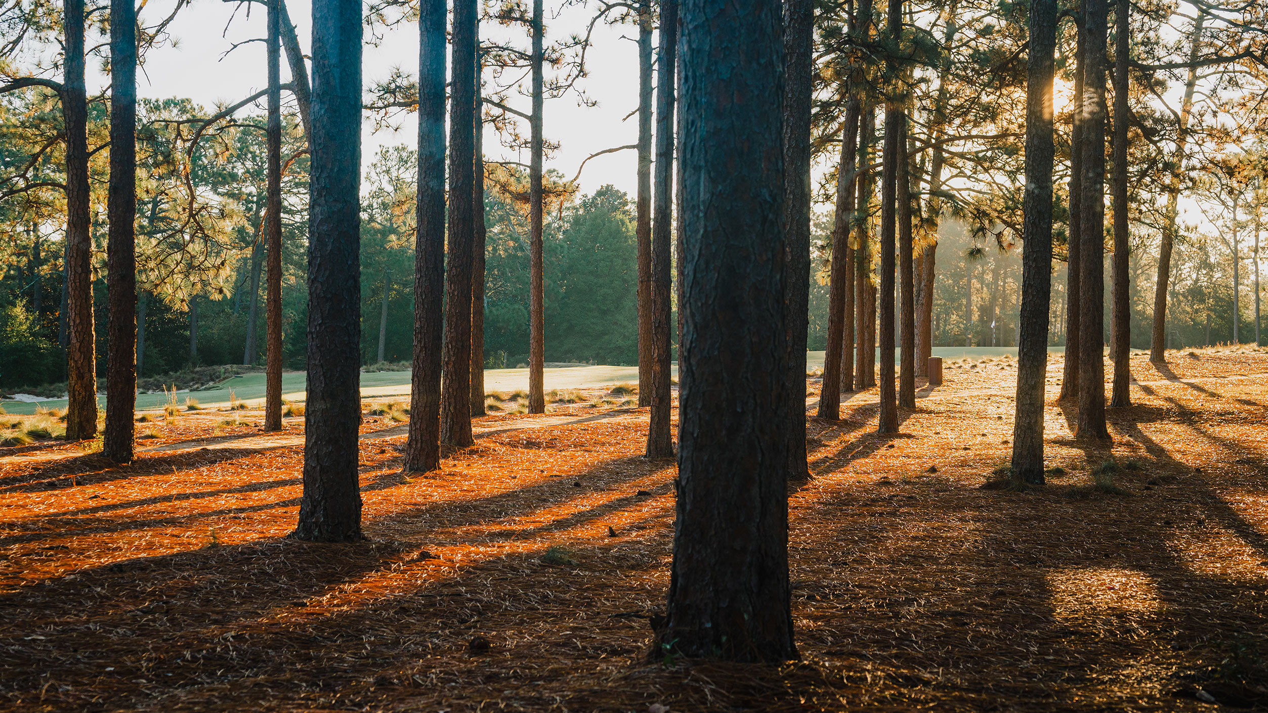 Pinehurst No. 2