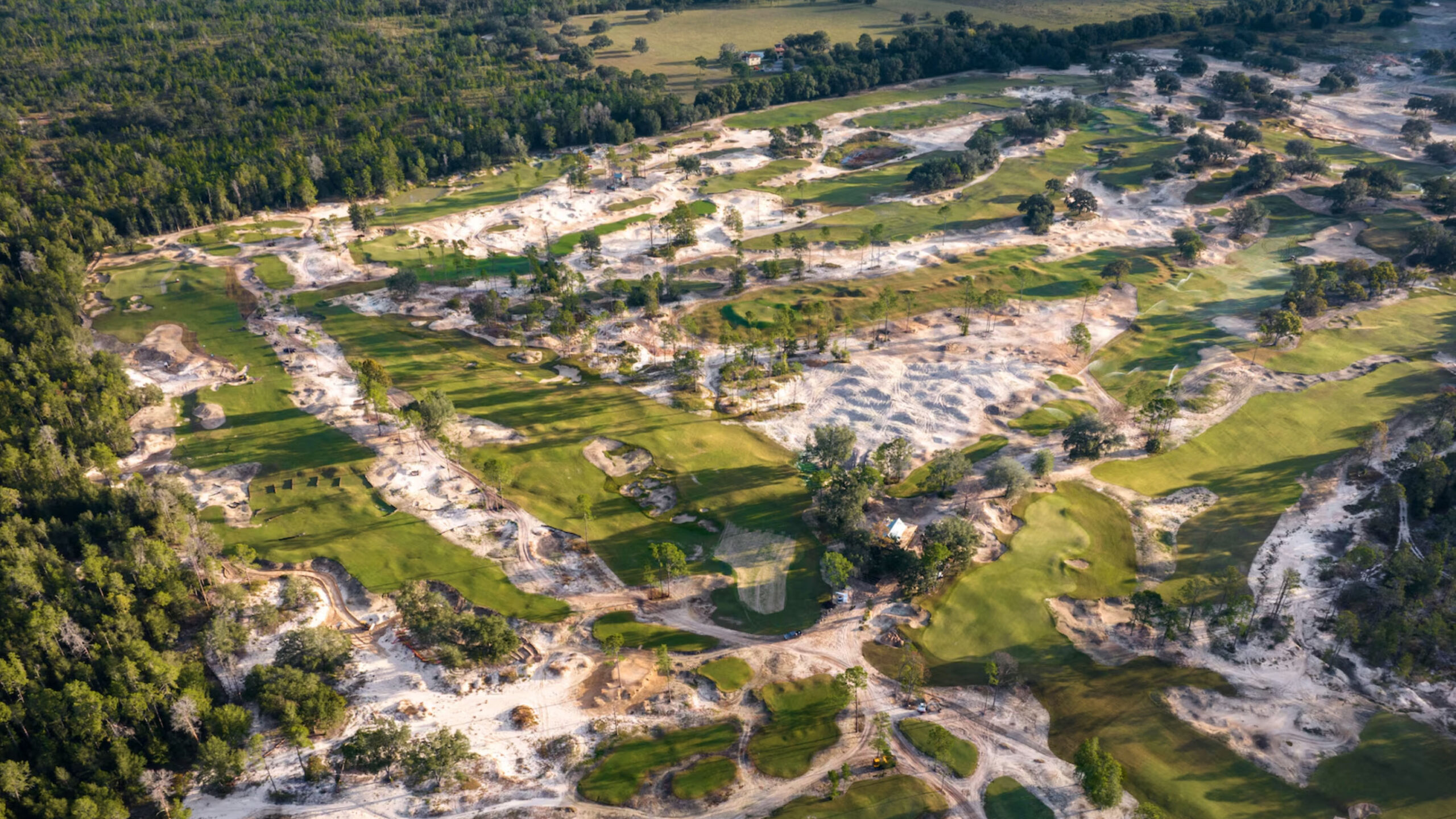 Chocolate Drops: Cabot Citrus Farms Opens