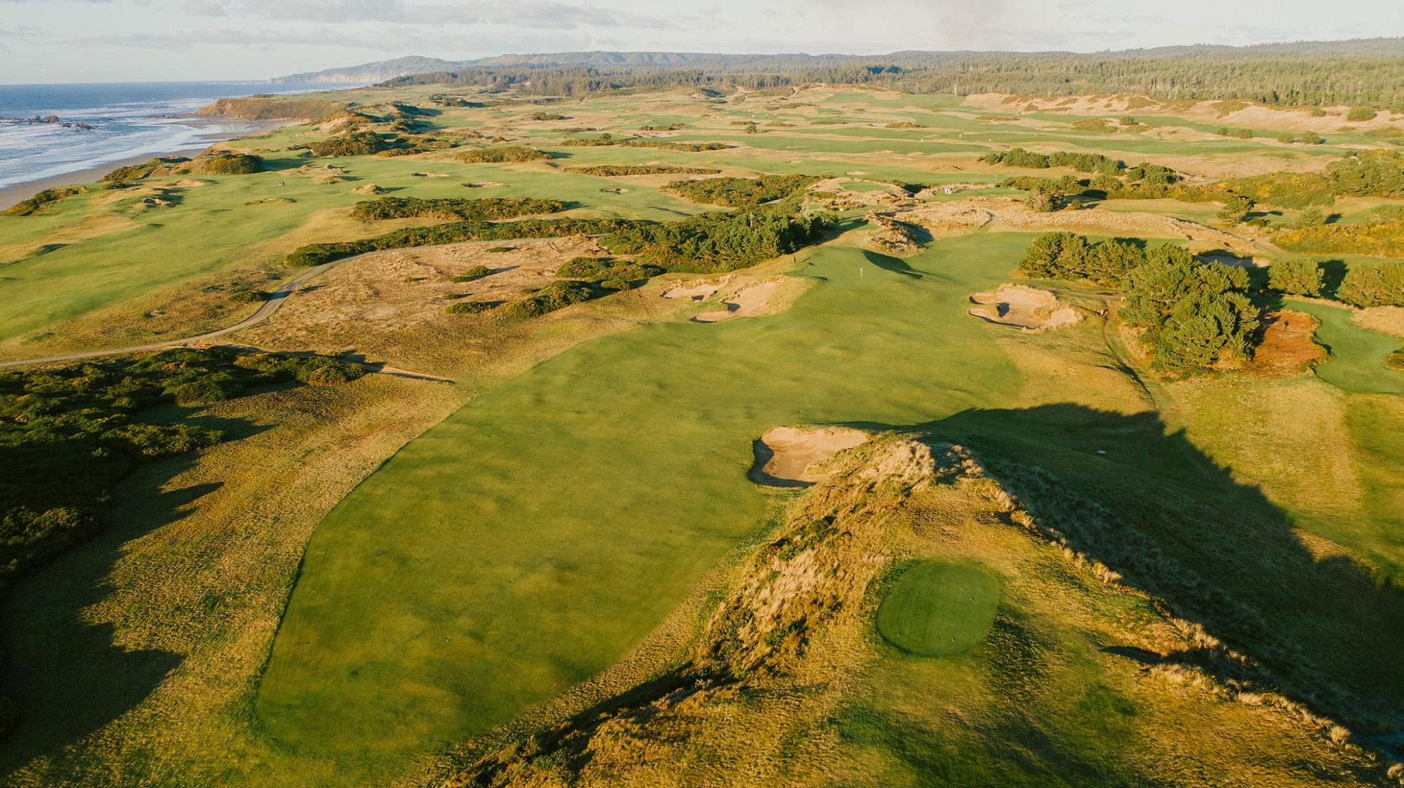 The Return of Yolk with Doak: Call for Questions