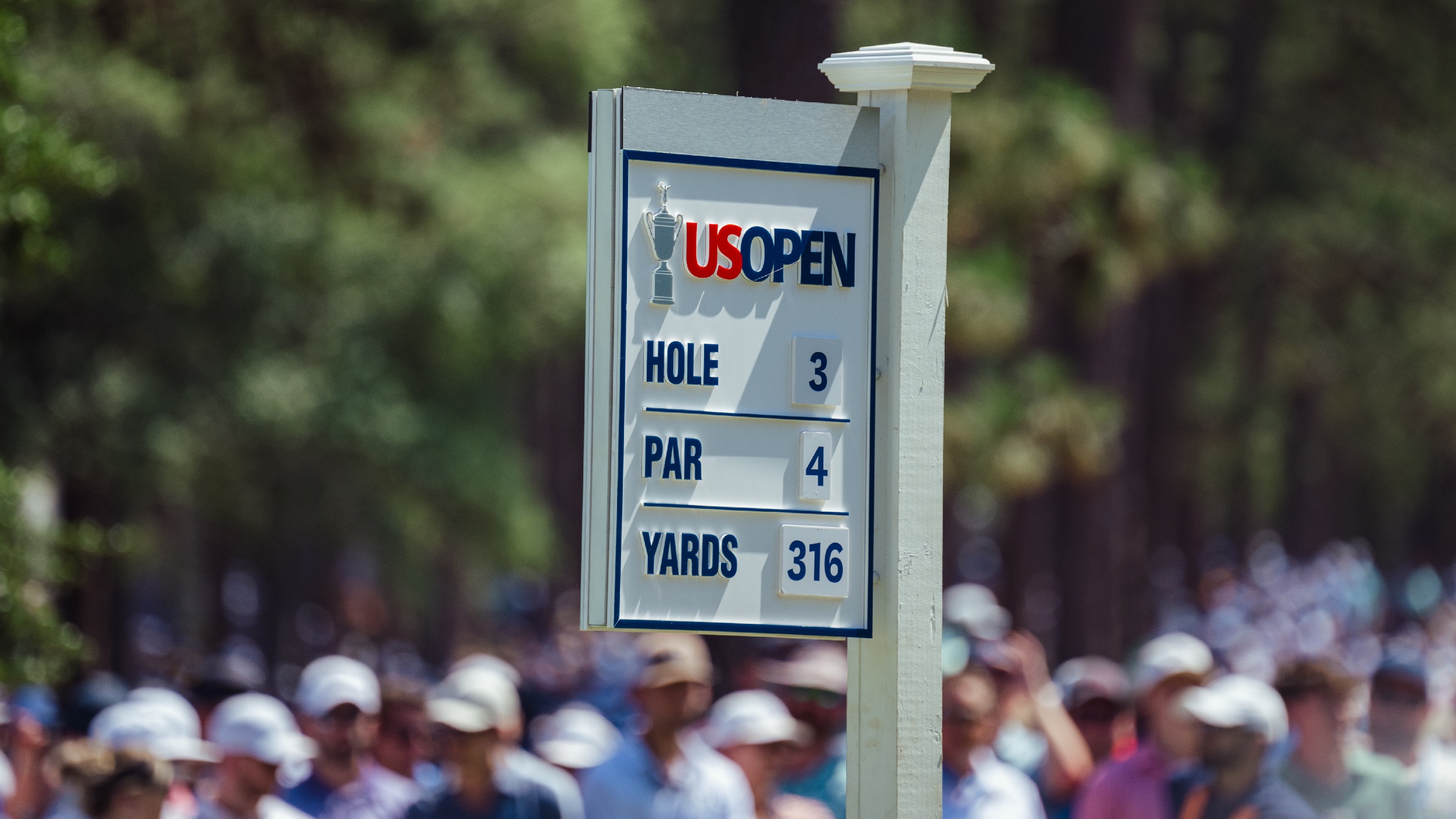 Checking on the Contenders & Why No. 9 Just Works