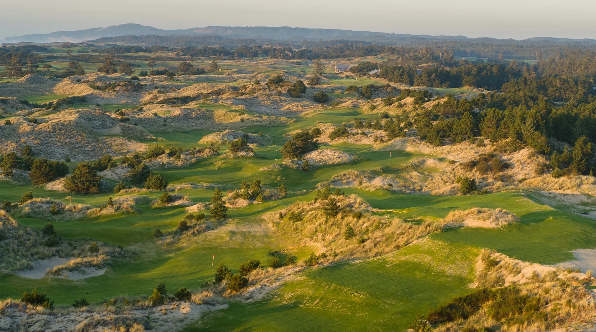 Design Notebook: A Walk Around Bandon Shorty’s