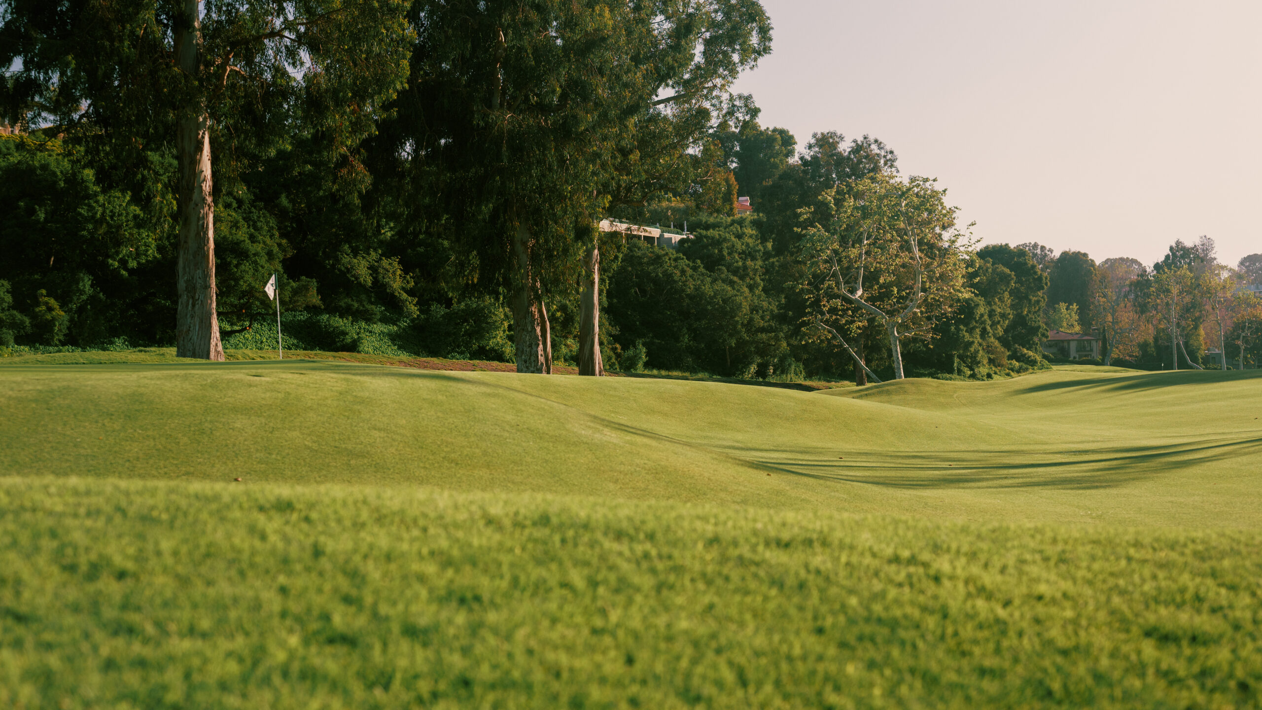 Weekend Chat: Stadium Finish