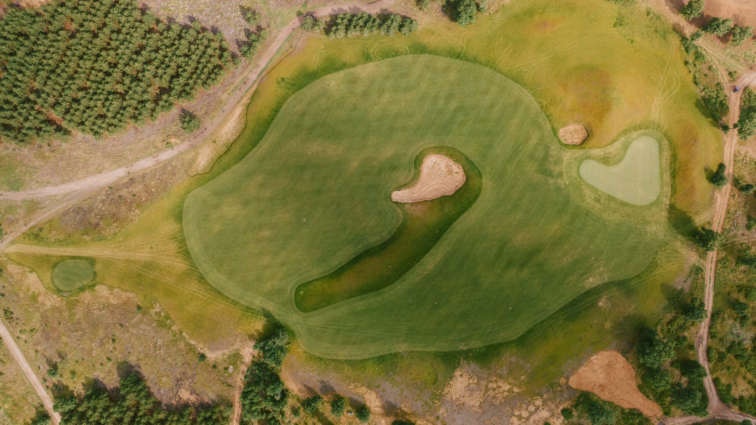 Design Notebook: New Course Openings in 2024