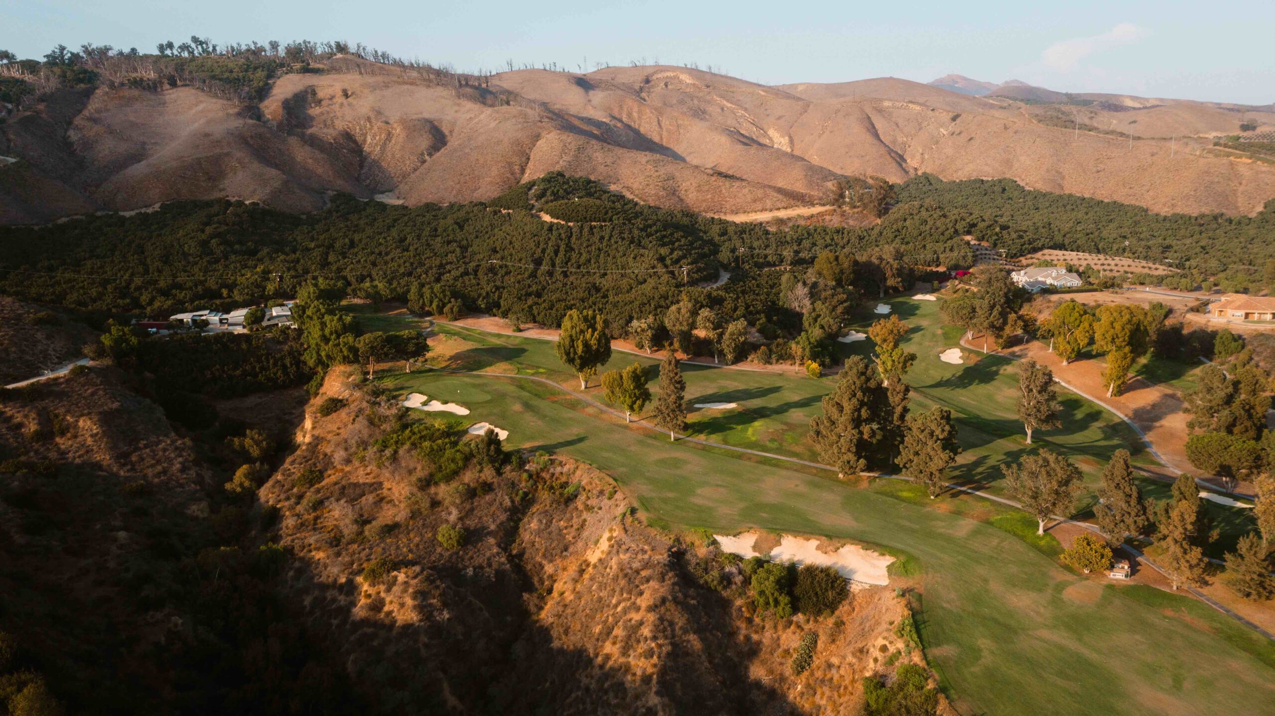 Design Notebook: Thad Layton Steps Out of the King’s Shadow