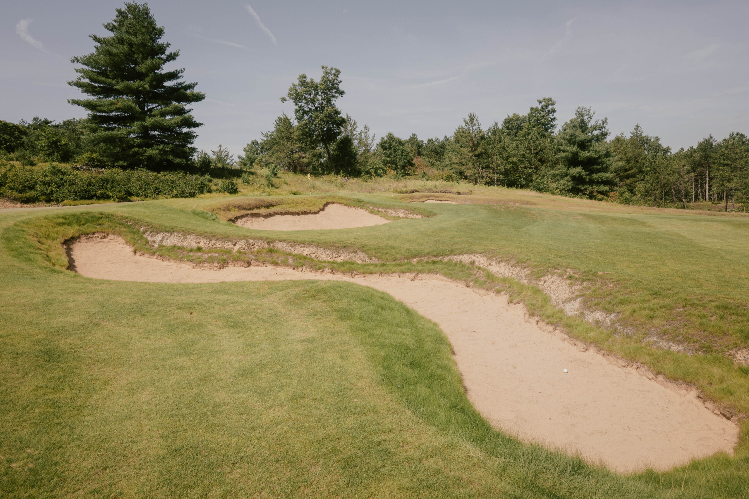 Risk and Reward at Sedge Valley