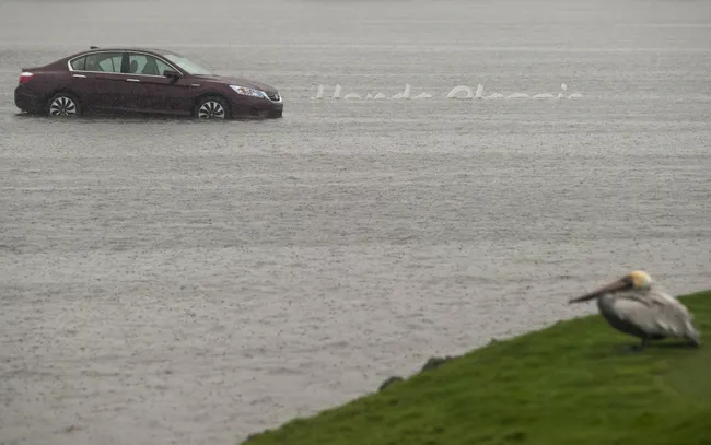 Is Our Honda Totaled?