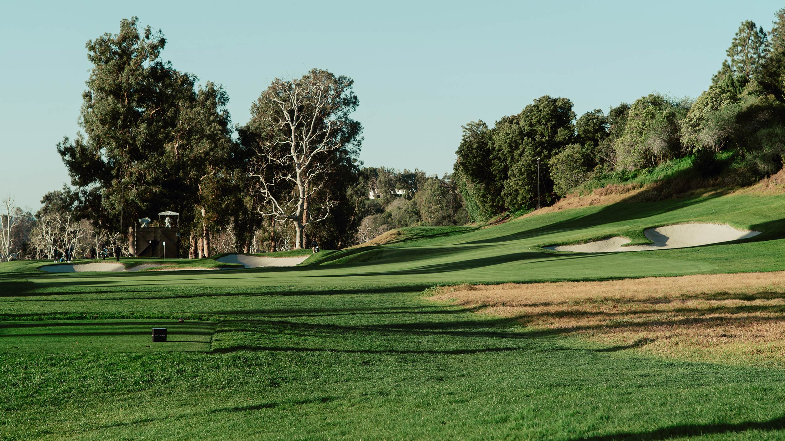 Riviera’s Weaknesses