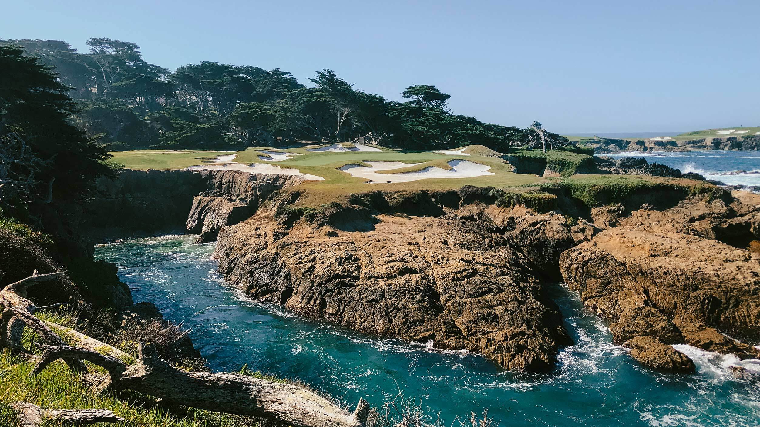 The Crosby in Need of Juice? Bring Back Cypress