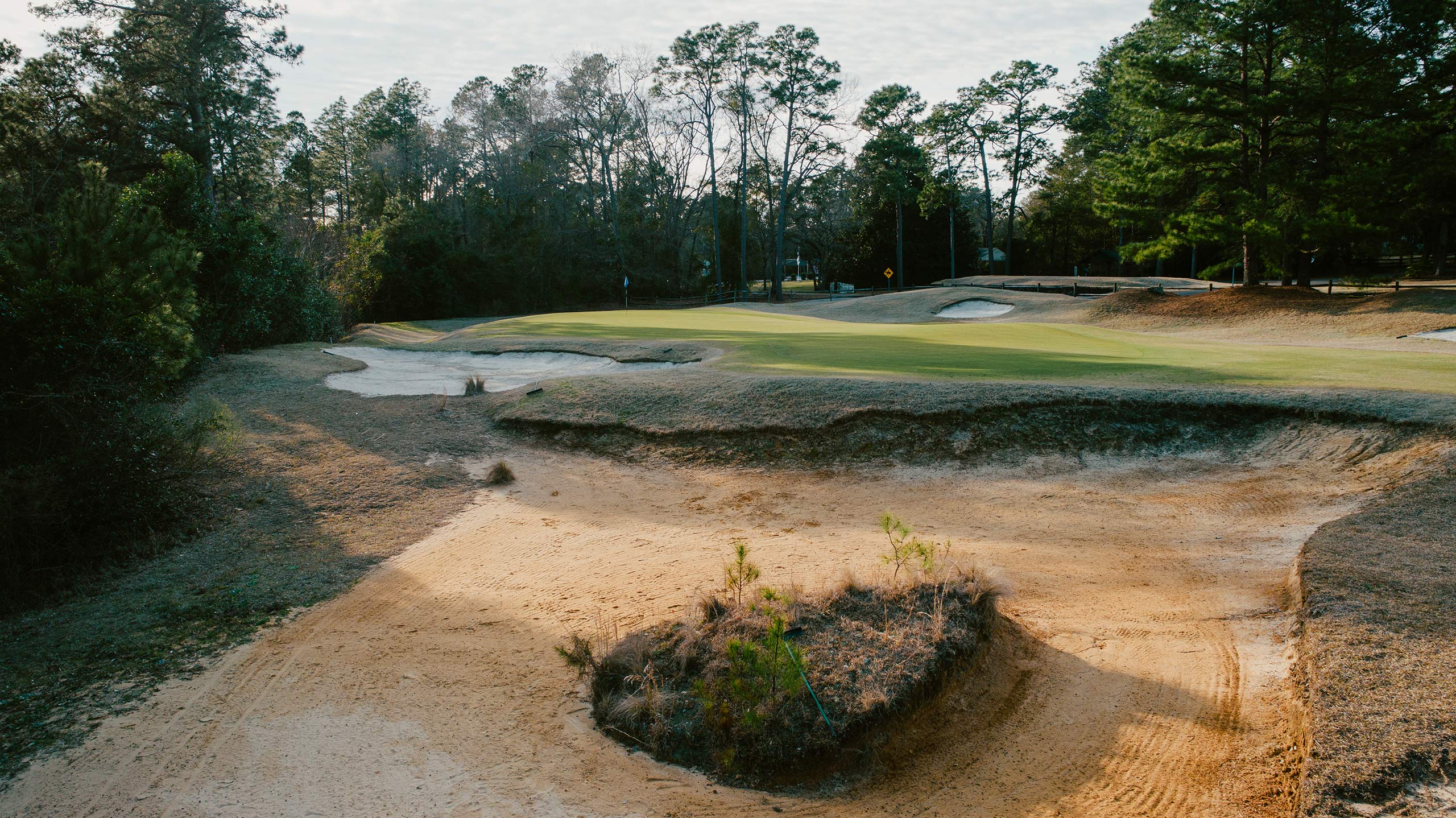 Weekend Chat: San Francisco vs. Philadelphia, Cincinnati vs. Kansas City