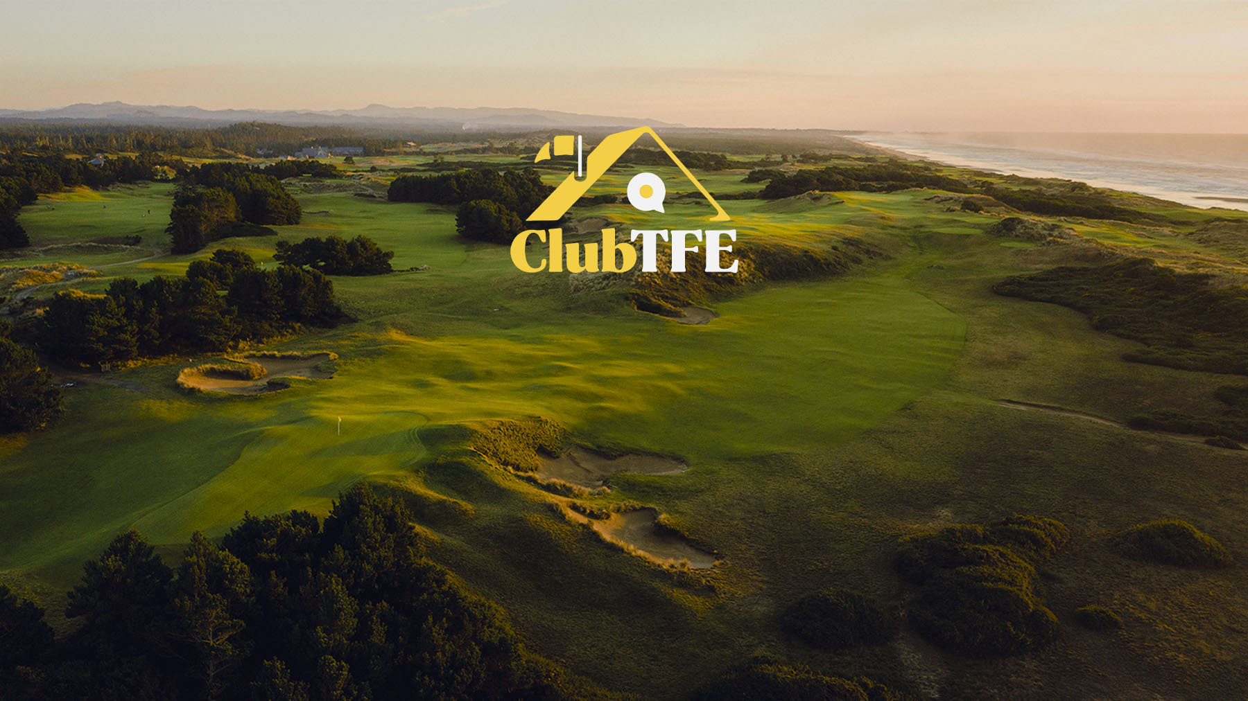 An Announcement from The Fried Egg