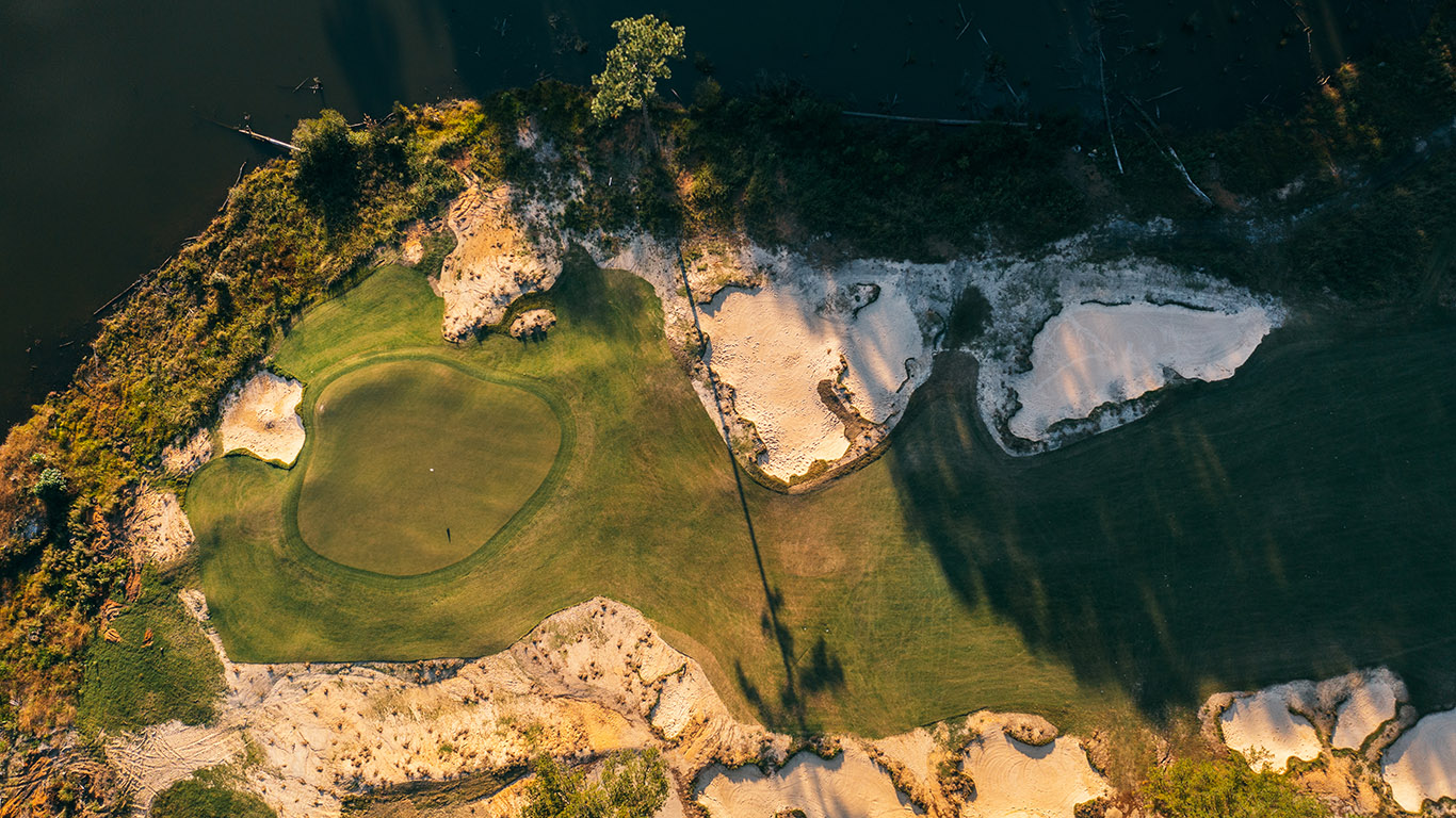 Southern Pines Revisited