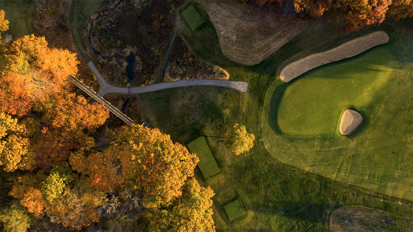 Newsletter Cornucopia, Vol. 3