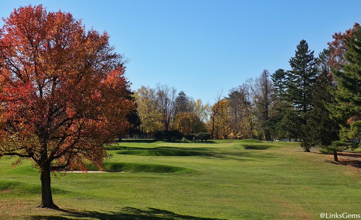 A Rossy Vacation: Lulu