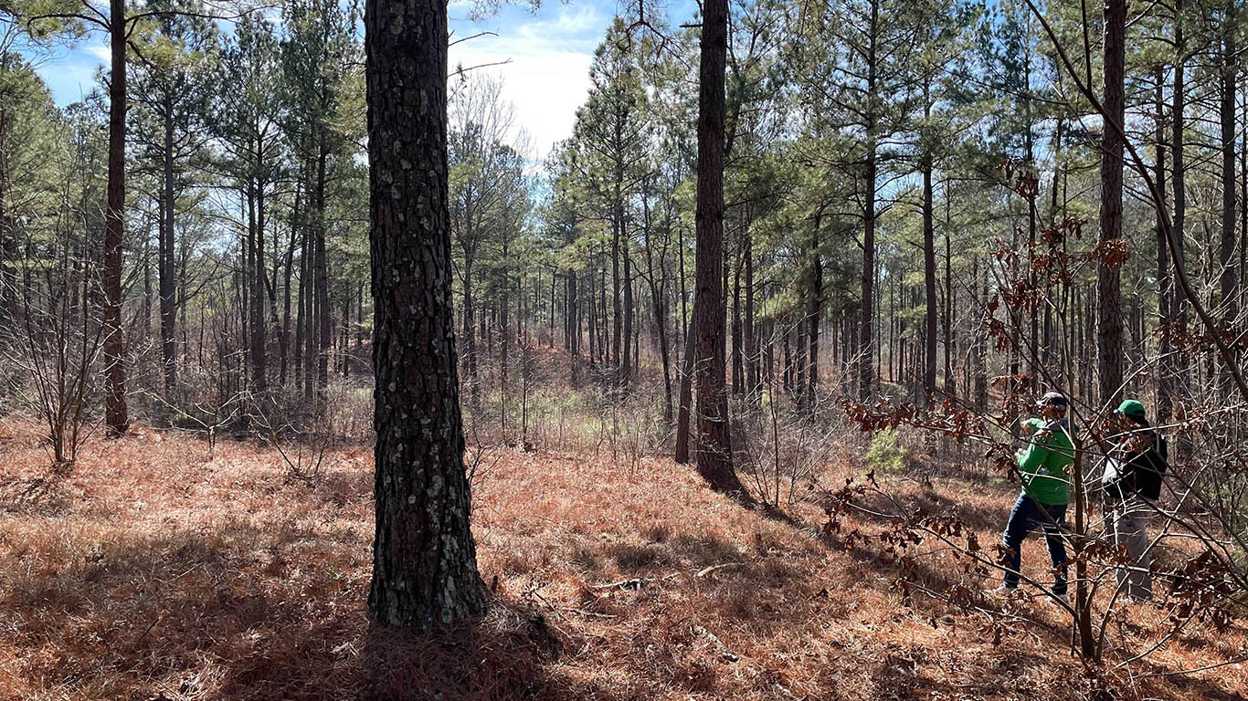 Zac Blair Hires Tom Doak, Kye Goalby to Design The Tree Farm