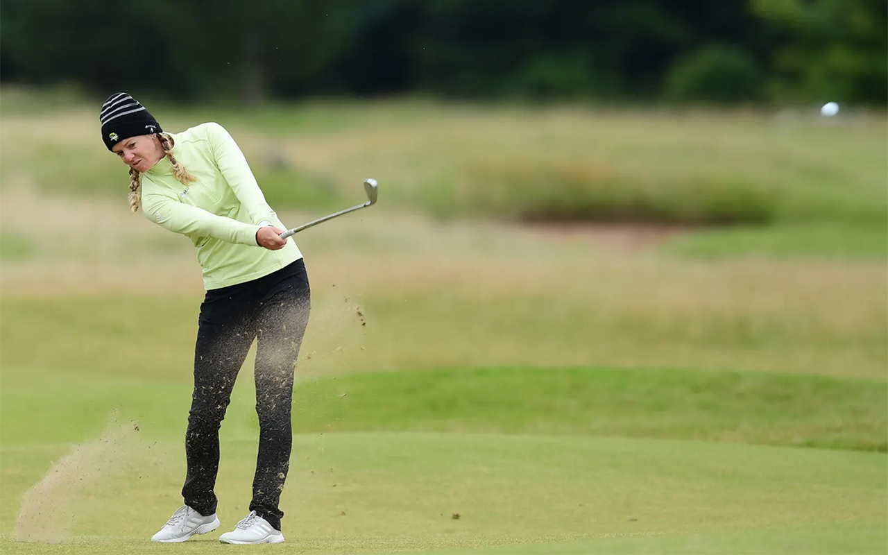 Everything under the Olson