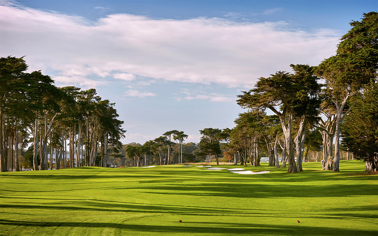 Shimmying Shaq dot gif