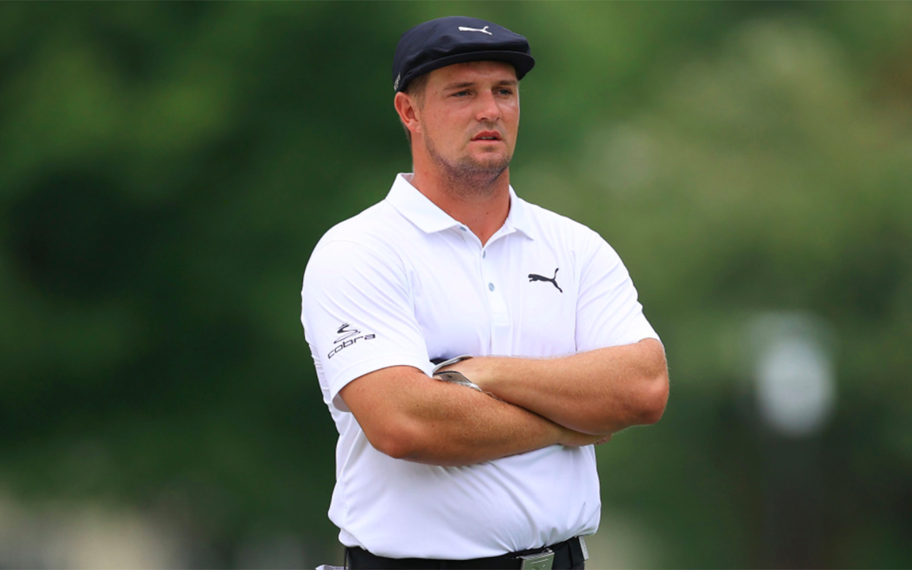 I fell into a burning ring of fire ants