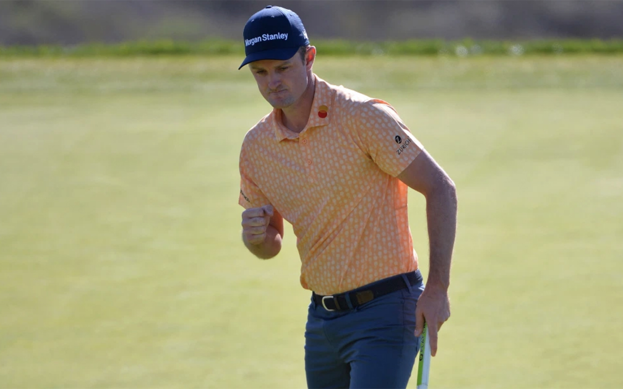 Turkey vultures, patches of turf, etc.