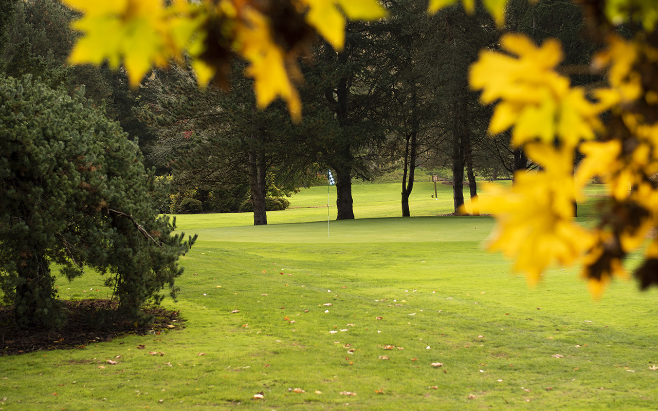 A newsletter cornucopia