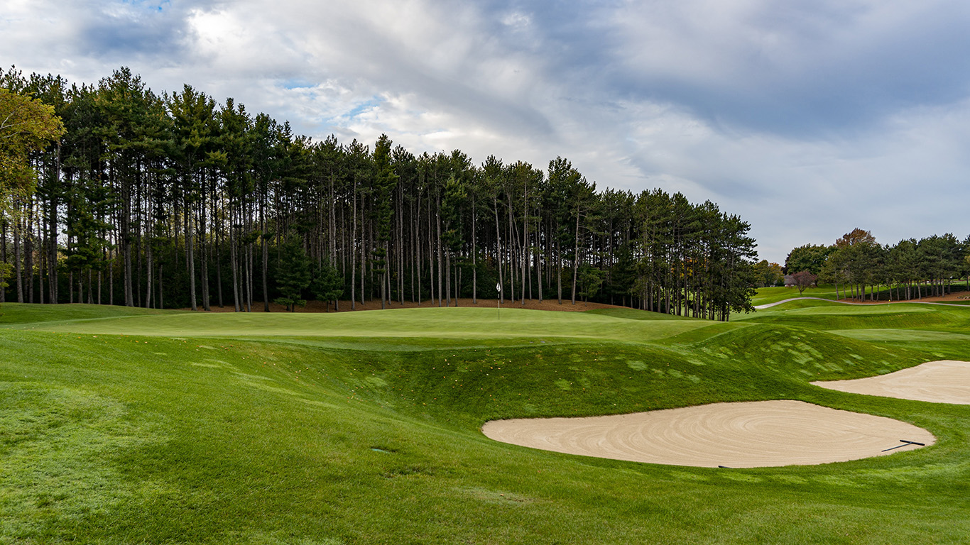 Wild Harry Smead: Pine Hills