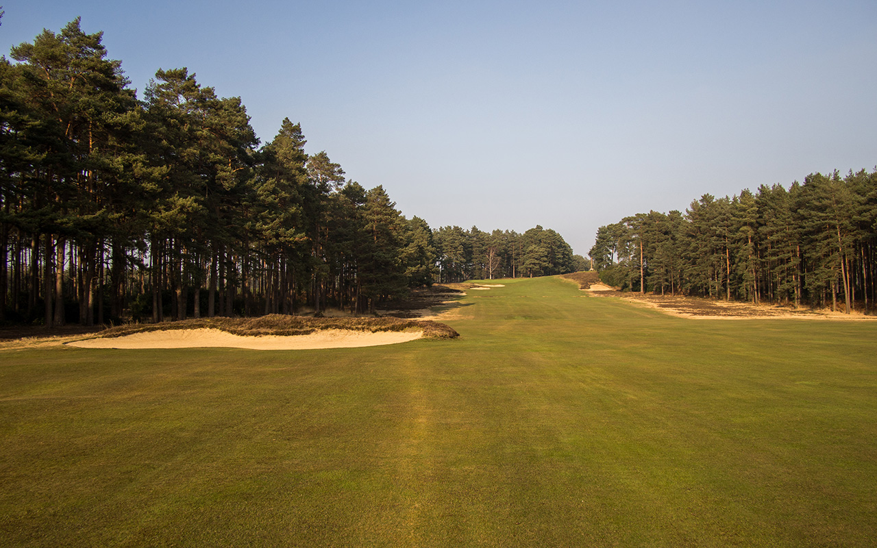 Eclectic 18 UK – Hole No. 15, Swinley Forest