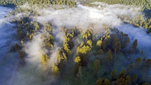 Mailbag: Hickory Clubs, NorCal Golf, Equipment, and More