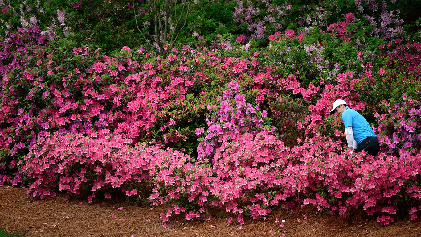 Renaming the Holes at Augusta National