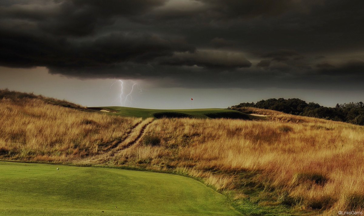 The skinny on Shinny: Part II – The restoration